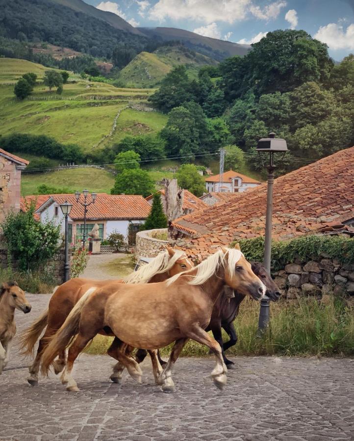 La Infinita Rural Boutique Hotel Carmona  Kültér fotó